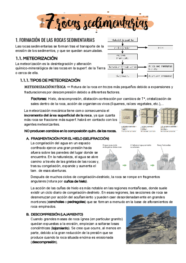 Miniatura del documento Tema-7.pdf