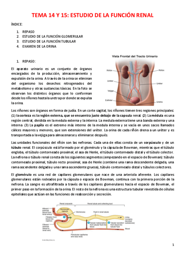 Miniatura del documento TEMA.pdf