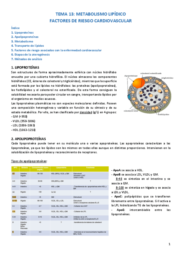 Miniatura del documento TEMA.pdf