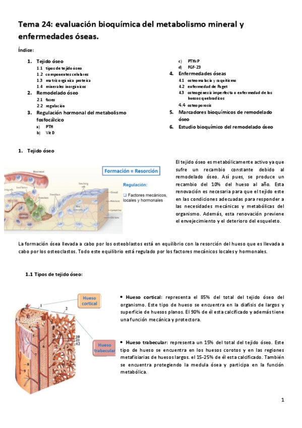 Miniatura del documento tema.pdf