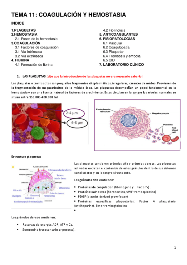 Miniatura del documento tema.pdf