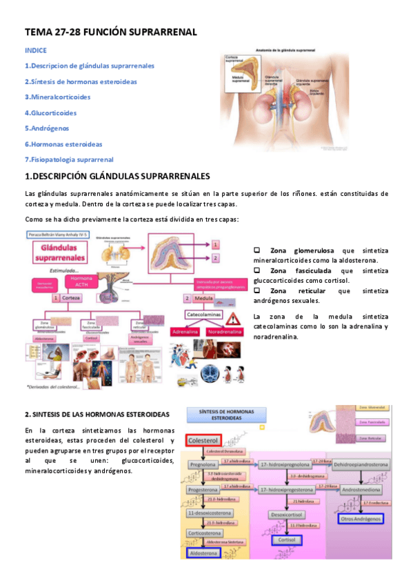 Miniatura del documento TEMA.pdf