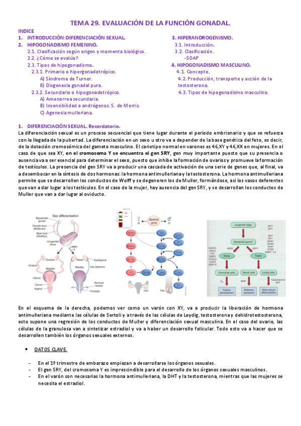 Miniatura del documento Tema.pdf