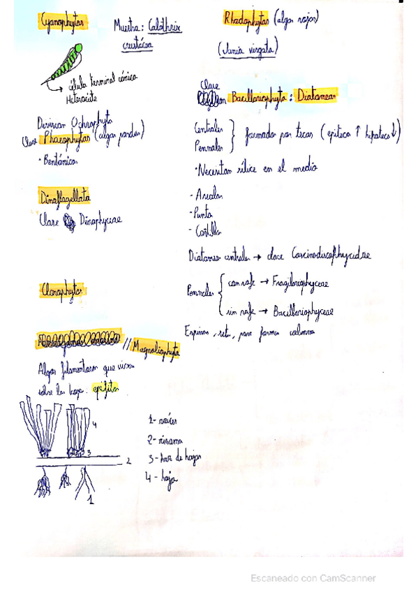 Miniatura del documento Biodiversidad-Marina.pdf