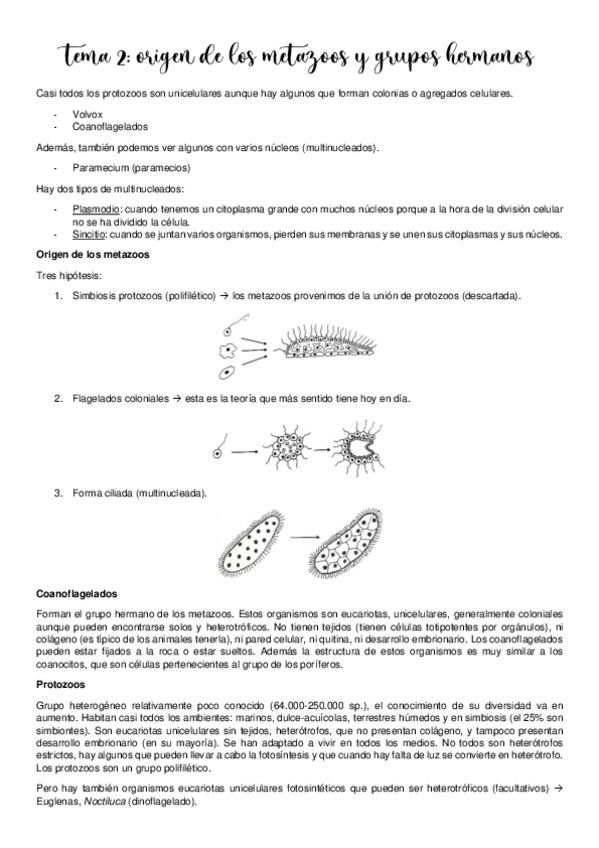 Miniatura del documento Tema-2.pdf