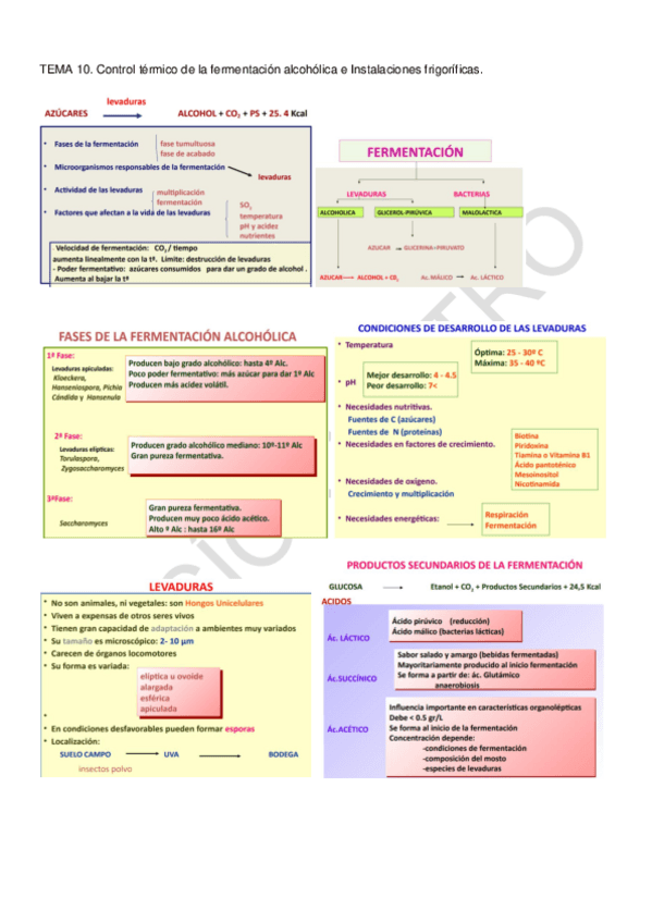 Miniatura del documento TEMA-10.pdf