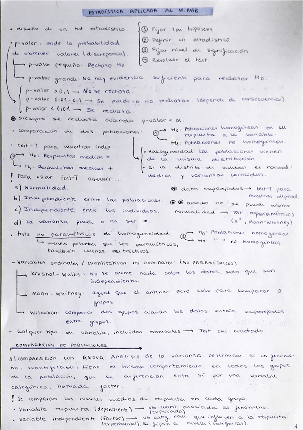 Miniatura del documento EA-Resumen-t0-t1-t2.pdf