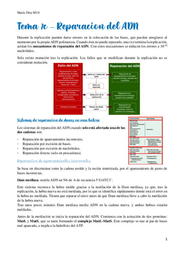 Miniatura del documento t7c.pdf