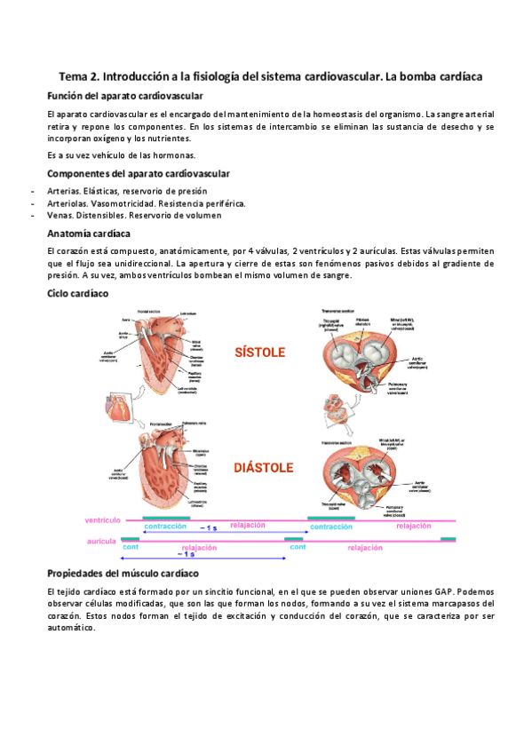 Miniatura del documento Apuntes-fisio-I-Abel-Valverde.pdf