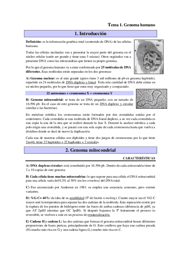 Miniatura del documento Genetica-humana-completo.pdf