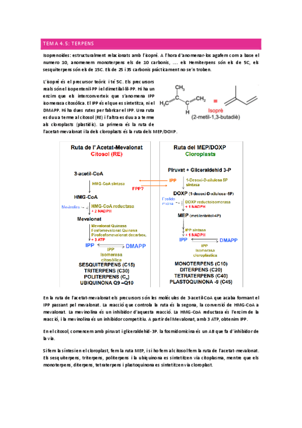 Miniatura del documento Tema-4.pdf