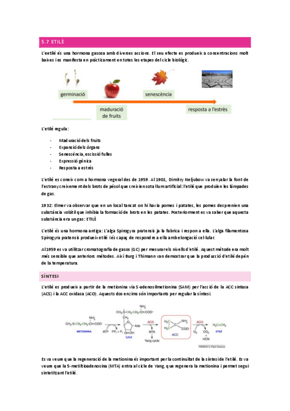 Miniatura del documento Tema-5.pdf