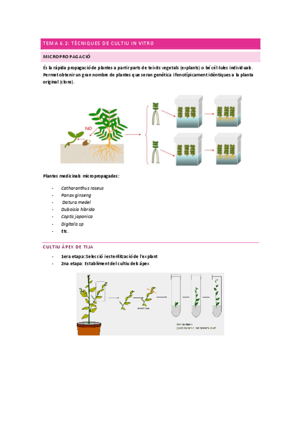 Miniatura del documento tema-6.pdf