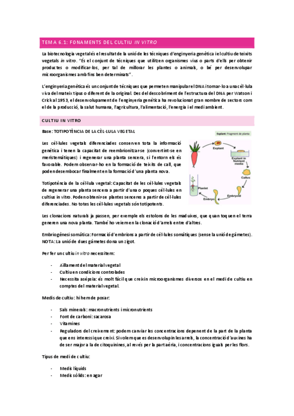 Miniatura del documento tema-6.pdf