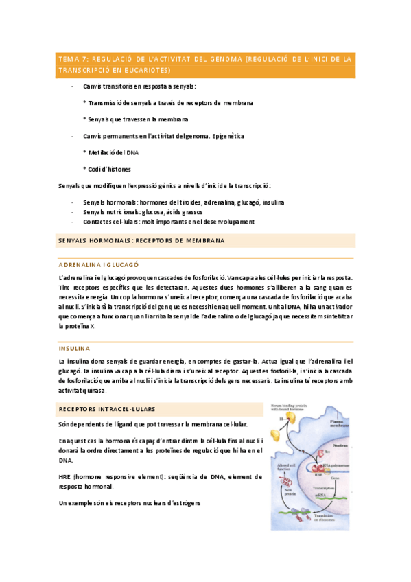 Miniatura del documento tema-7.pdf