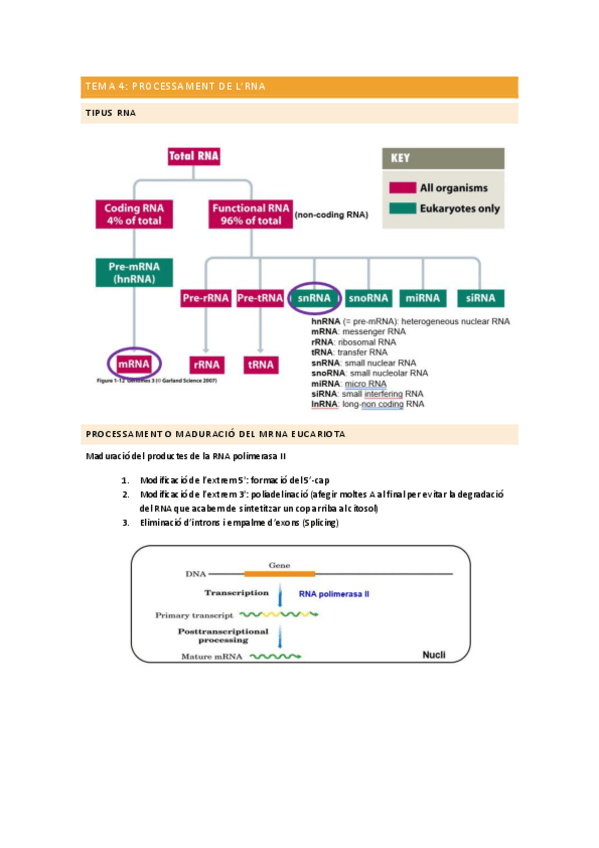 Miniatura del documento Tema-4.pdf