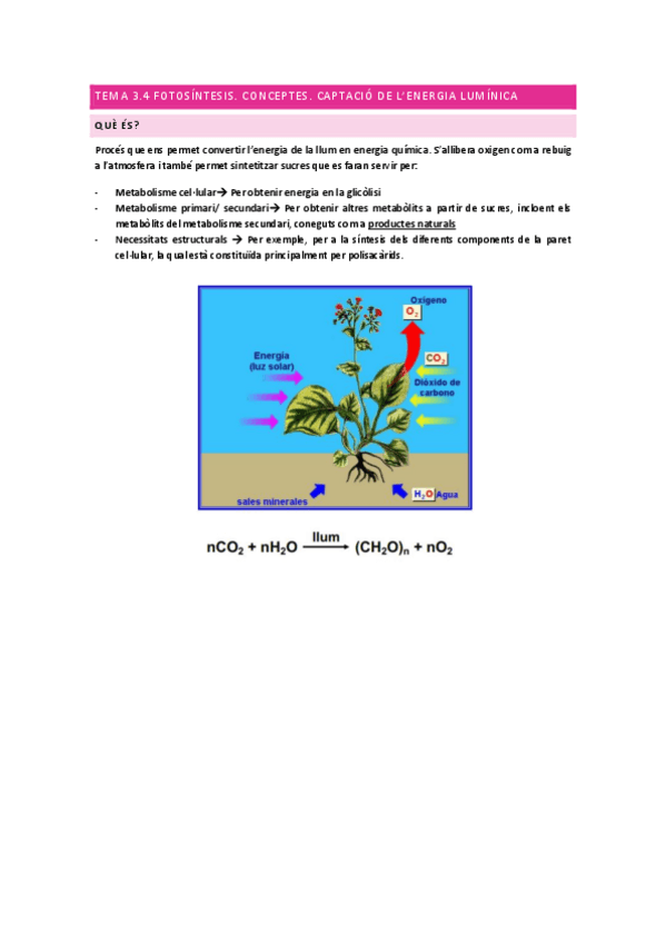 Miniatura del documento Tema-3.pdf