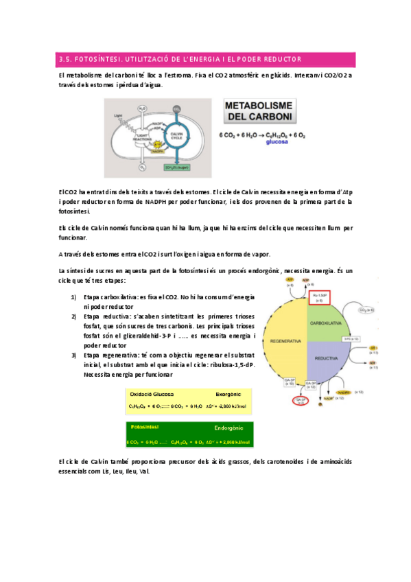 Miniatura del documento Tema-3.pdf
