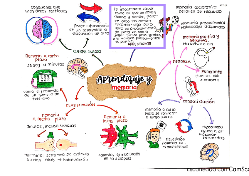 Miniatura del documento Memoria-y-aprendizaje.pdf
