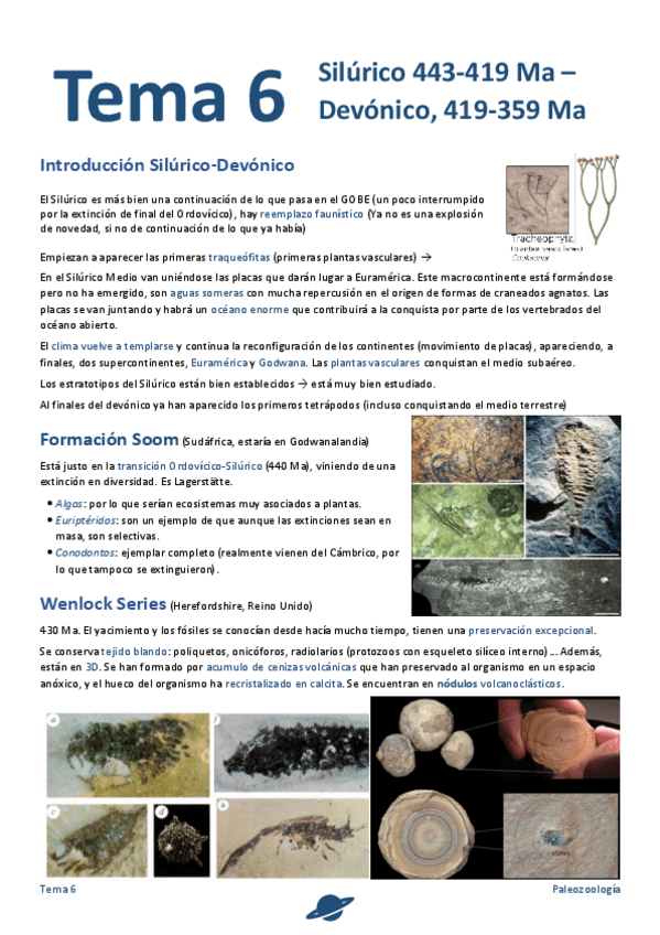 Miniatura del documento Tema-6-.pdf