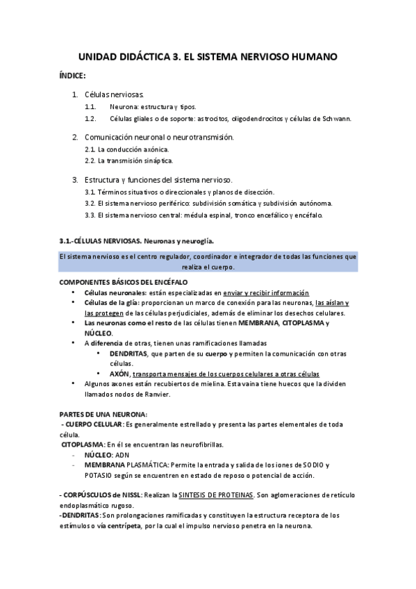 Miniatura del documento UNIDAD-3-SISTEMA-NERVIOSO-HUMANO.pdf