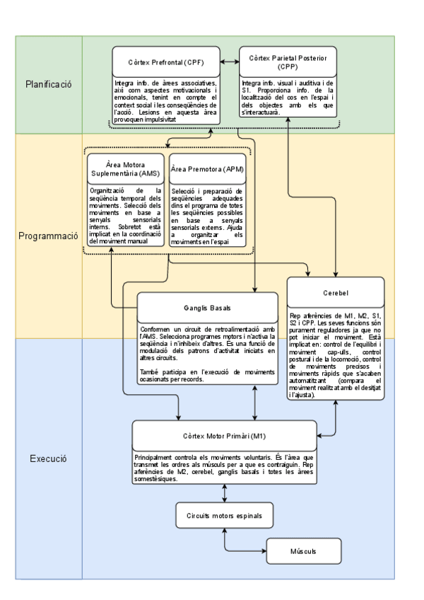 Miniatura del documento ESQUEMA-CONTROL-DEL-MOVIMENT.pdf