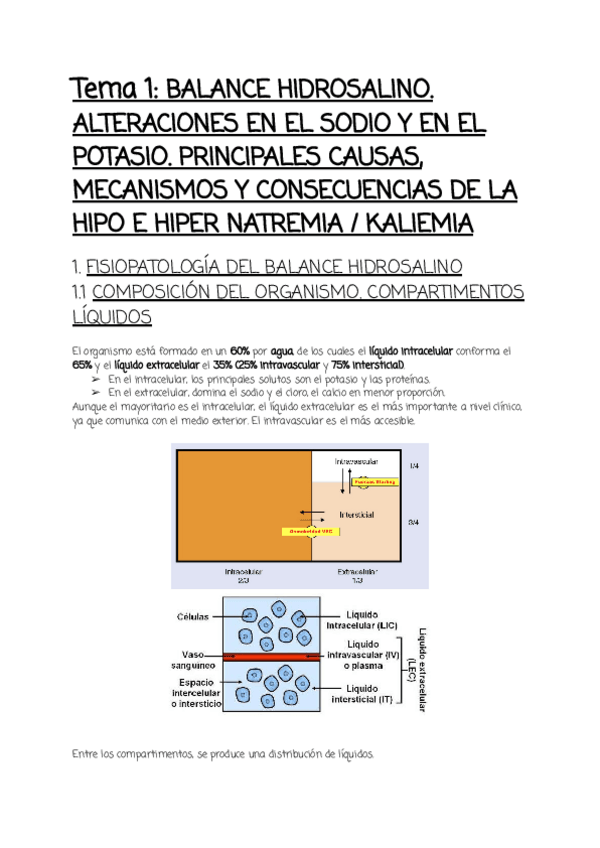 Miniatura del documento Tema-1.pdf