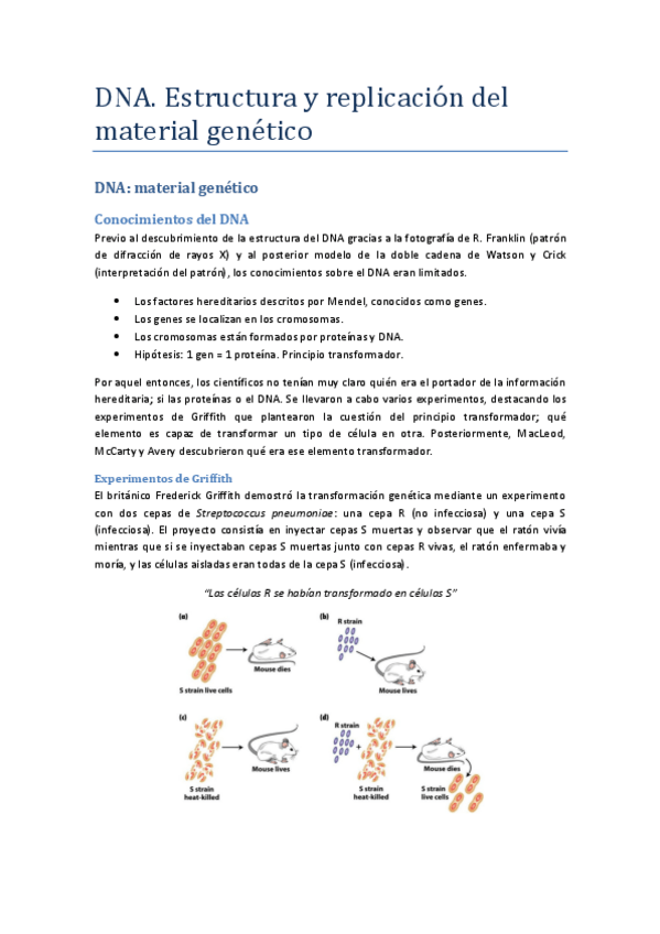 Miniatura del documento 9.pdf