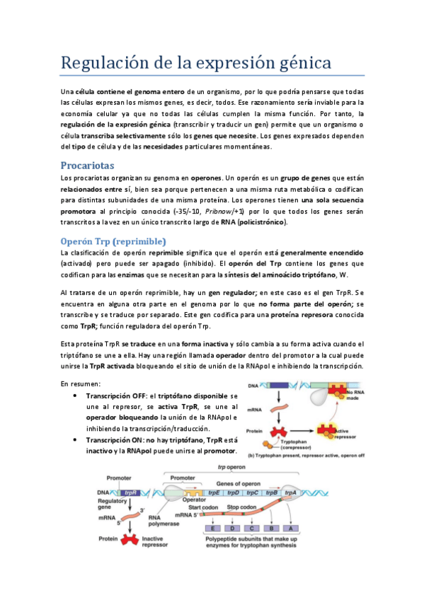 Miniatura del documento 11.pdf