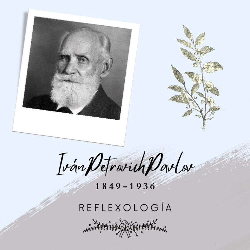 Miniatura del documento Condicionamiento.pdf