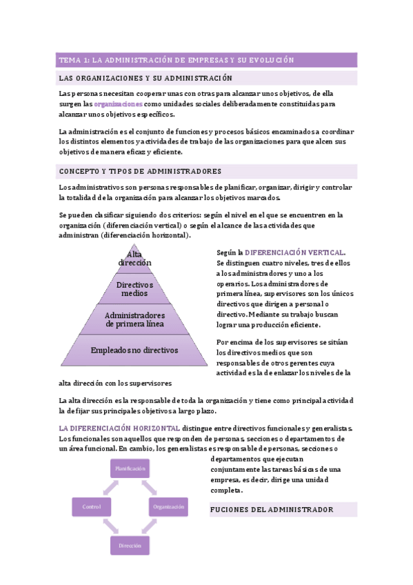 Miniatura del documento TEMARIO-DAE-completo.pdf