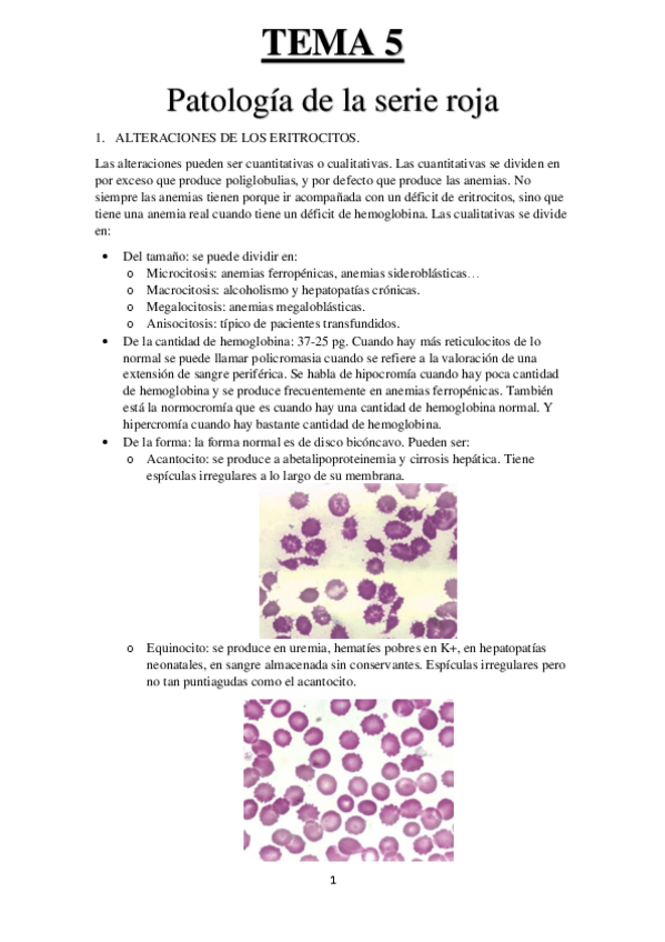 Miniatura del documento TEMA-5-HEMA.pdf