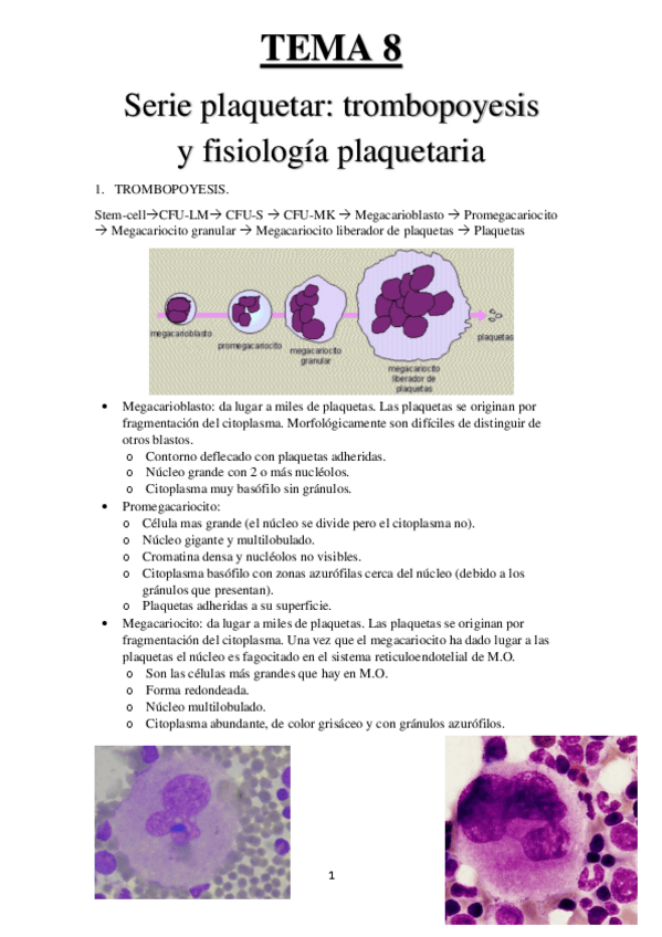 Miniatura del documento TEMA-8.pdf