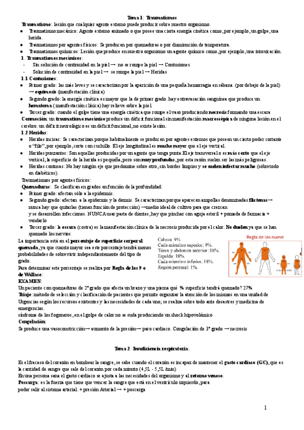 Miniatura del documento PMG.pdf