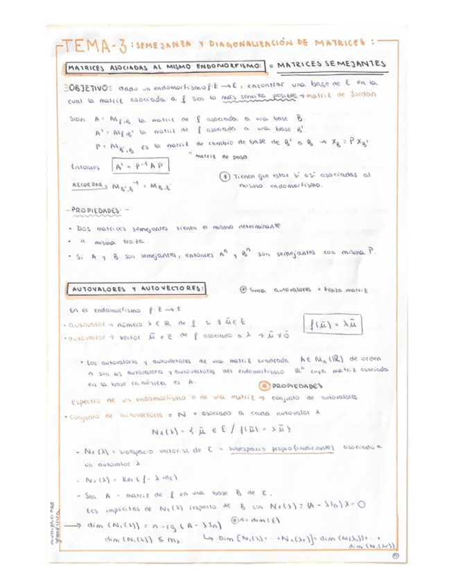 Miniatura del documento tema-3-Algebra-Lineal.pdf