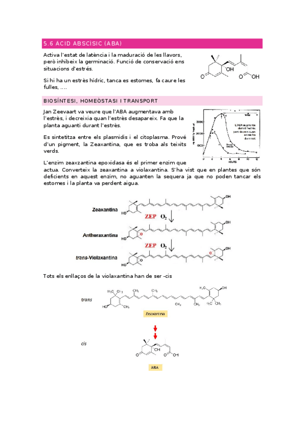 Miniatura del documento tema-5.docx
