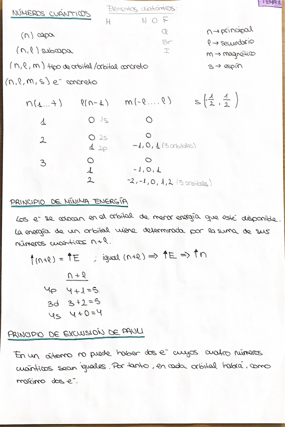 Miniatura del documento Documento-escaneado-13.pdf