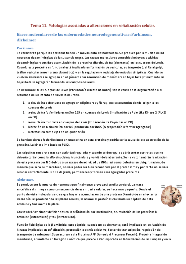 Miniatura del documento Tema-11.pdf