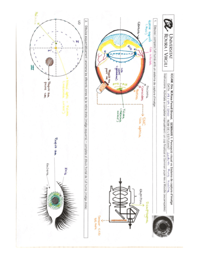 Miniatura del documento SEMINARI-1-ICCAM-JUDITH-RUIZ.pdf