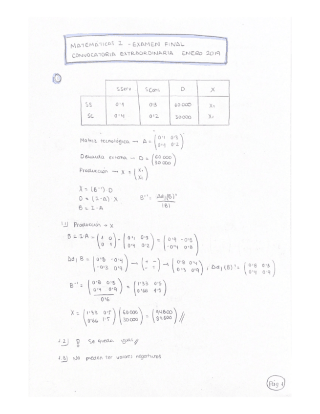 Miniatura del documento SOLUCION-EXTRAORDINARIA-FINAL-2019.pdf