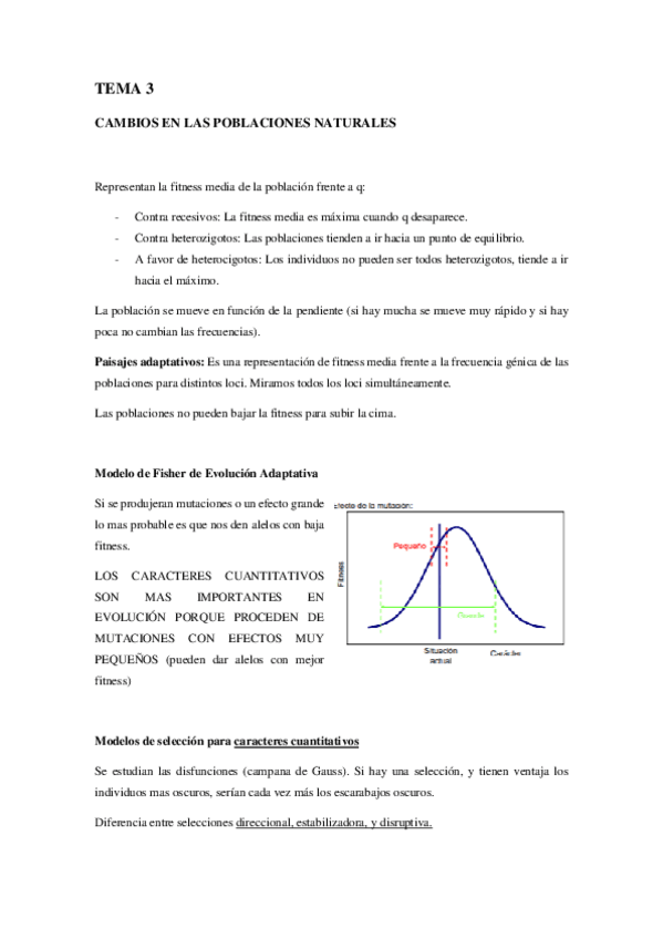 Miniatura del documento TEMA-3.pdf