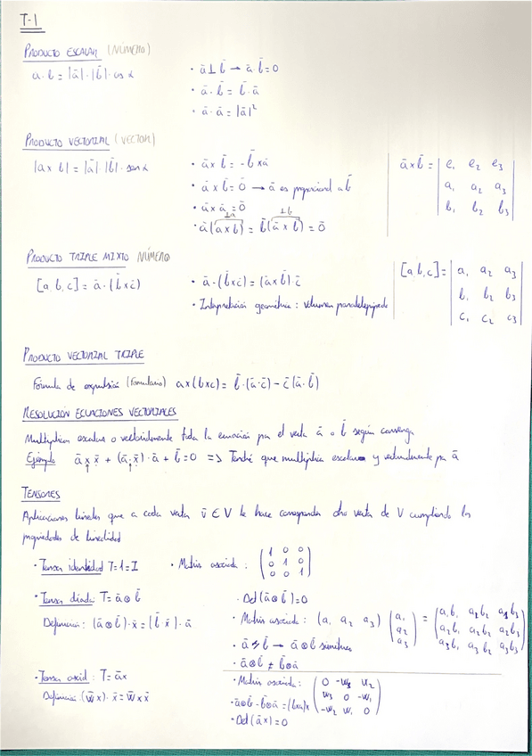 Miniatura del documento Resumen-T1.pdf