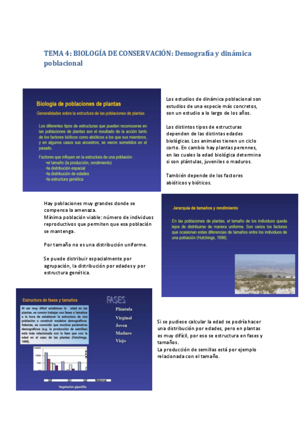 Miniatura del documento tema 4_biologia de conservación_demografía y dinámica poblacional.pdf