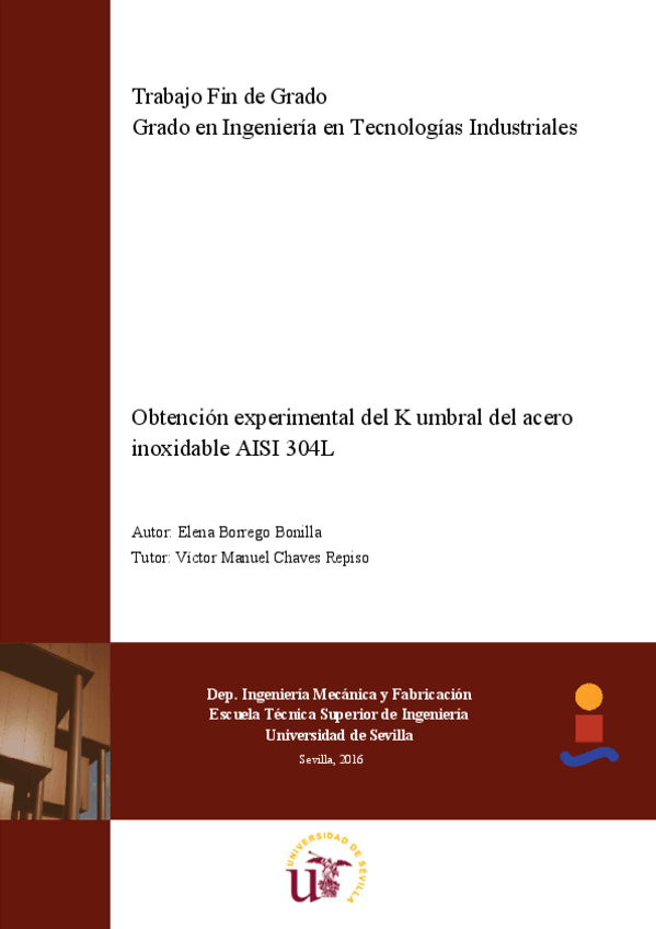 Miniatura del documento TFG.pdf