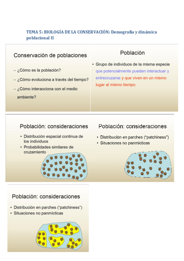 Miniatura del documento tema 5 demografía y dinamica poblacional II.pdf