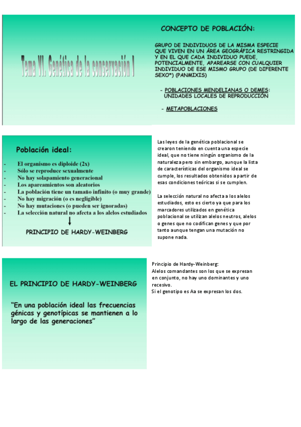Miniatura del documento tema 6_genética de la conservación.pdf