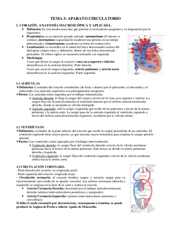 Miniatura del documento ANATOMIA-TEMA-3.pdf