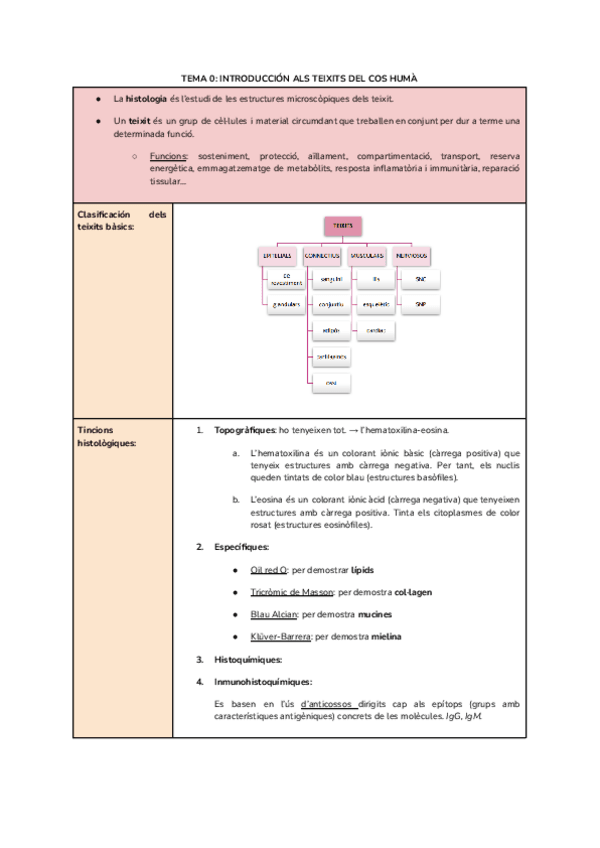Miniatura del documento HISTO.pdf