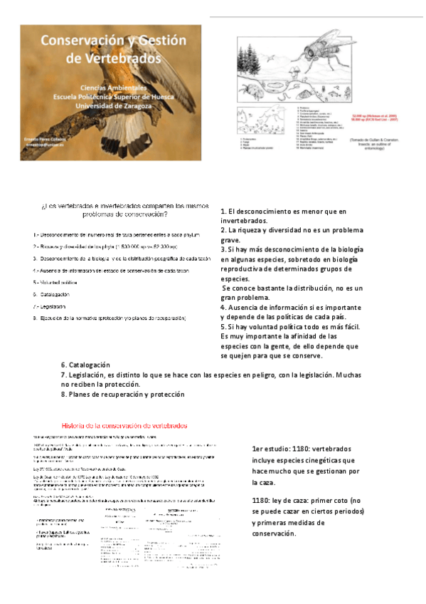 Miniatura del documento tema 11 conservación de vertebrados I.pdf
