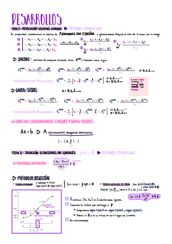 Miniatura del documento Desarrollos.pdf